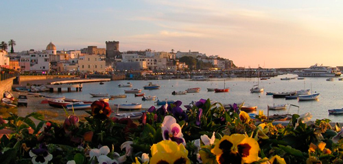 Forio con il suo porto